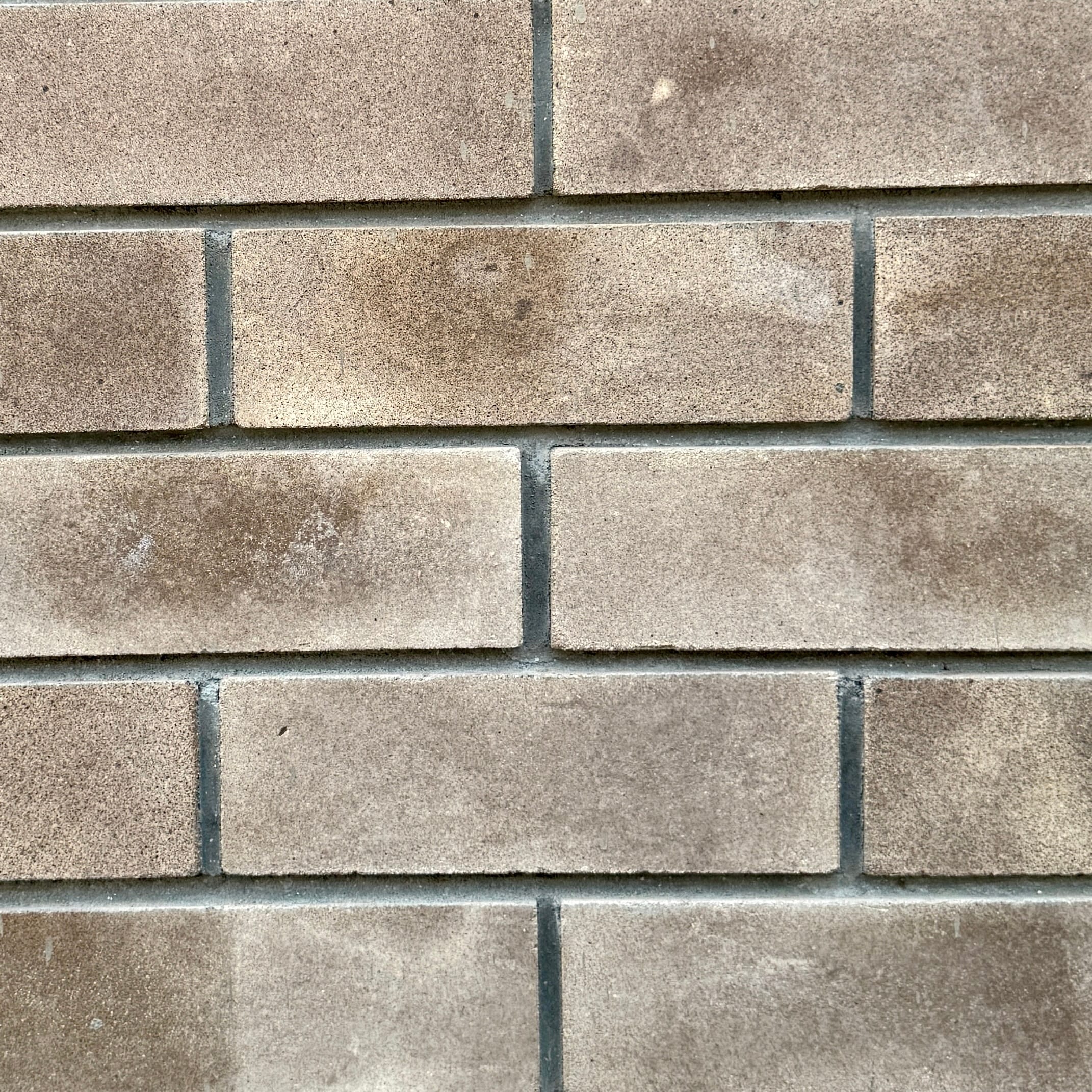 Clay wall tile